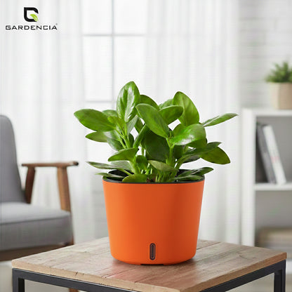 Gardencia Cube 6/12" Self Watering Square Pot