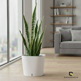Gardencia Cube 6/12" Self Watering Square Pot