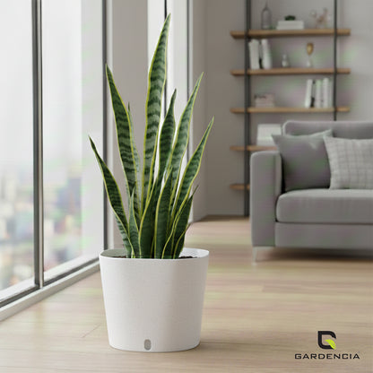 Gardencia Cube 6/12" Self Watering Square Pot