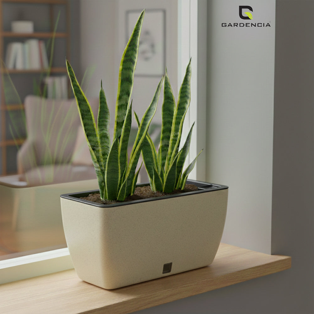 GARDENCIA Recta Self Watering Rectangle 100% Virgin Plastic Pots for Plants | Modern Design | Indoor and Outdoor Flower Pot for Home/Office/Table/Garden/Balcony Decoration | 14 inch