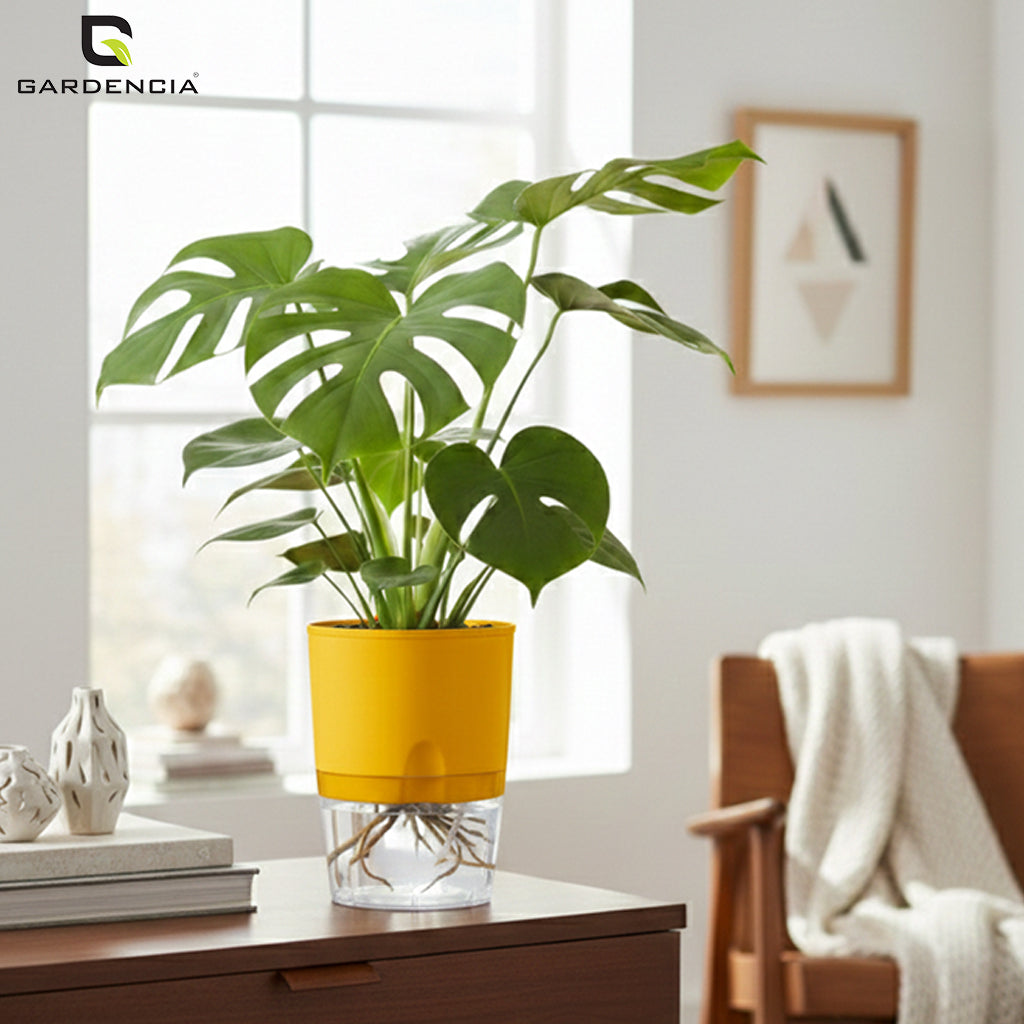 Gardencia Lobello 4/6/8 Inch Self Watering Plastic Flower Pot Cotton Rope Watering Small Plant Pot - Indoor Planters for Home Decor, Living Room, Kitchen, Bedroom, Office Desk, Gifting - Plants Not Included