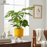 Gardencia Lobello 4/6/8 Inch Self Watering Plastic Flower Pot Cotton Rope Watering Small Plant Pot - Indoor Planters for Home Decor, Living Room, Kitchen, Bedroom, Office Desk, Gifting - Plants Not Included