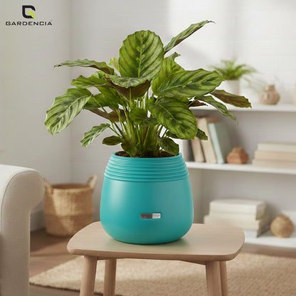 GARDENCIA Balloon Self Watering Planter