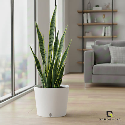 Gardencia Cube 6/12" Self Watering Square Pot