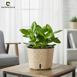 Cube Painted Self Watering Pot