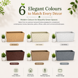 Gardencia Roto Dove Canon Rectangle Planter with Dot Finish Color