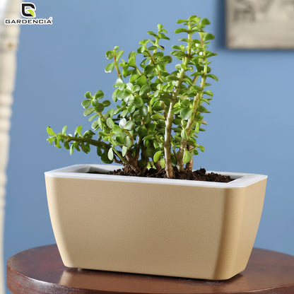 GARDENCIA Recta Self Watering Rectangle 100% Virgin Plastic Pots for Plants | Modern Design | Indoor and Outdoor Flower Pot for Home/Office/Table/Garden/Balcony Decoration | 14 inch