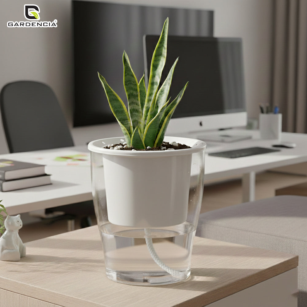 GARDENCIA Clear Self Watering Pot 6 Inch – Transparent Plastic Planter for Indoor Plants, Succulents, Herbs & Flowers – Durable Pot with Water Reservoir & Drainage Hole