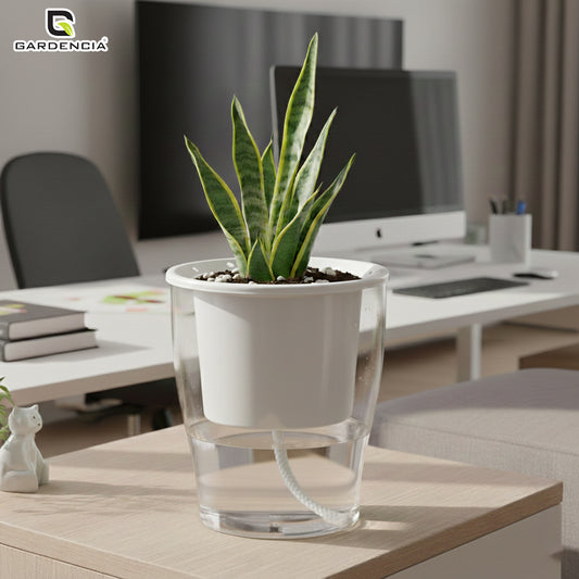 Clear Pot Self Watering Pot