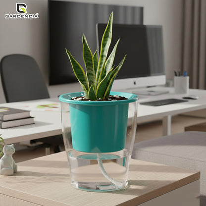 GARDENCIA Clear Self Watering Pot 6 Inch – Transparent Plastic Planter for Indoor Plants, Succulents, Herbs & Flowers – Durable Pot with Water Reservoir & Drainage Hole