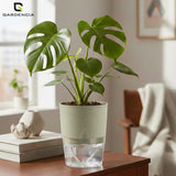 Gardencia Lobello 4/6/8 Inch Self Watering Plastic Flower Pot Cotton Rope Watering Small Plant Pot - Indoor Planters for Home Decor, Living Room, Kitchen, Bedroom, Office Desk, Gifting - Plants Not Included