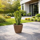 GARDENCIA ROTO Candy 9/11/13" Morden Round Planter Pot