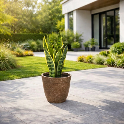 GARDENCIA ROTO Candy 9/11/13" Morden Round Planter Pot