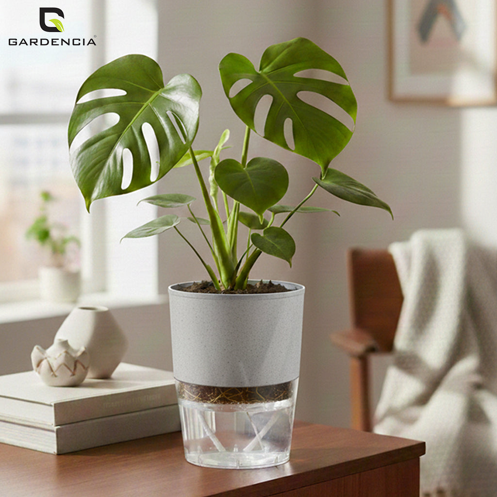 Gardencia Lobello 4/6/8 Inch Self Watering Plastic Flower Pot Cotton Rope Watering Small Plant Pot - Indoor Planters for Home Decor, Living Room, Kitchen, Bedroom, Office Desk, Gifting - Plants Not Included