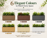 Gardencia Roto Box Tray Rectangular Planter with Dot Finish Color
