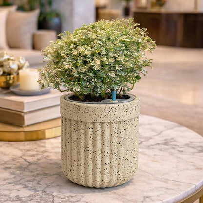 GARDENCIA Roto Tiny 04 Round Self Watering Planter Pot 6"