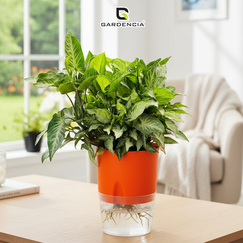 Gardencia Lobello 4/6/8 Inch Self Watering Plastic Flower Pot Cotton Rope Watering Small Plant Pot - Indoor Planters for Home Decor, Living Room, Kitchen, Bedroom, Office Desk, Gifting - Plants Not Included