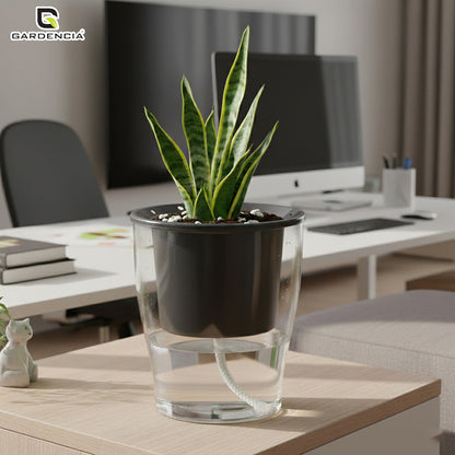 GARDENCIA Clear Self Watering Pot 6 Inch – Transparent Plastic Planter for Indoor Plants, Succulents, Herbs & Flowers – Durable Pot with Water Reservoir & Drainage Hole