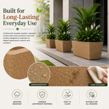 Gardencia Roto Dove Canon Rectangle Planter with Dot Finish Color