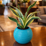 GARDENCIA Jupiter 4/5/6 inch Self Watering Planter Pot | Polypropylene with UV & HDPE | Matte & Glossy Finish | Indoor & Outdoor Flower Pot for Home & Garden