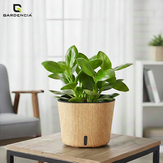GARDENCIA Cube Self Watering 6" Plant Pot Modern Printed Planter for Indoor & Outdoor Use, Decorative Flower Pot