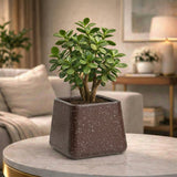 GARDENCIA Roto Tiny 05 Self Watering Square Planter Pot 6"