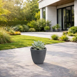 GARDENCIA ROTO Candy 9/11/13" Morden Round Planter Pot
