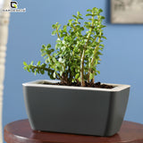 GARDENCIA Recta Self Watering Rectangle 100% Virgin Plastic Pots for Plants | Modern Design | Indoor and Outdoor Flower Pot for Home/Office/Table/Garden/Balcony Decoration | 14 inch