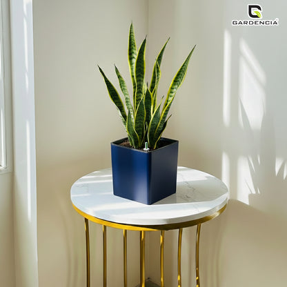 Gardencia Columbus Self Watering Square Pot with Water Level Indicator Modern Planters with Automatic Watering System, Best Flower Pots for Home Decore, Living Room, Table Top Available In Multi Colours
