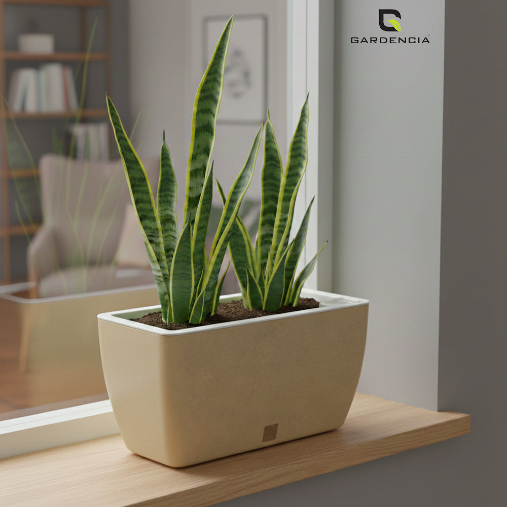 GARDENCIA Recta Self Watering Rectangle 100% Virgin Plastic Pots for Plants | Modern Design | Indoor and Outdoor Flower Pot for Home/Office/Table/Garden/Balcony Decoration | 14 inch