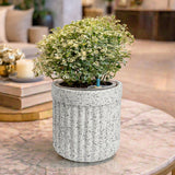 GARDENCIA Roto Tiny 04 Round Self Watering Planter Pot 6"