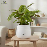 GARDENCIA Balloon Self Watering Planter
