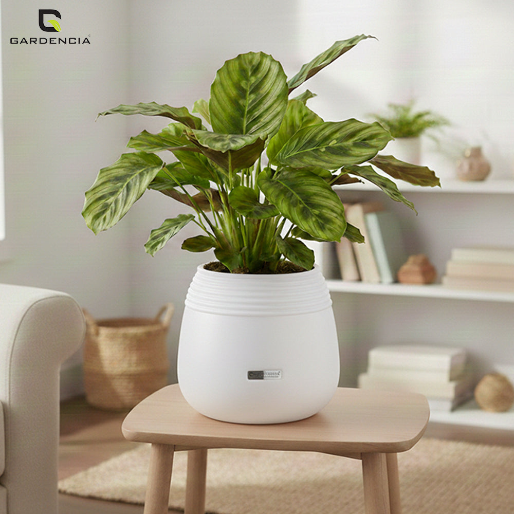 GARDENCIA Balloon Self Watering Planter