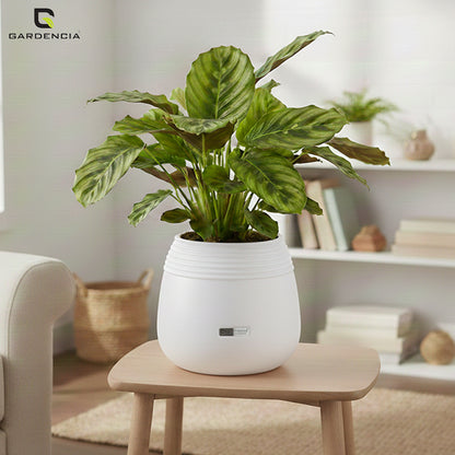 GARDENCIA Balloon Self Watering Planter