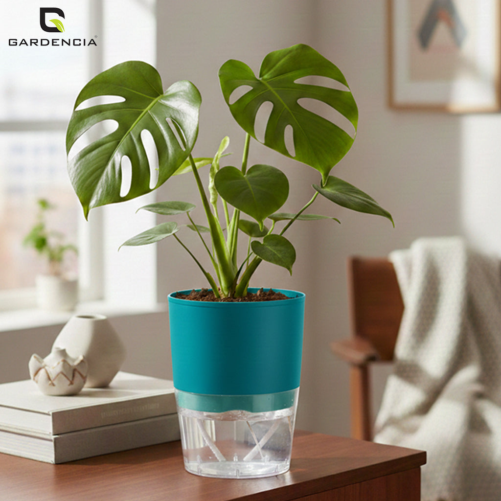 Gardencia Lobello 4/6/8 Inch Self Watering Plastic Flower Pot Cotton Rope Watering Small Plant Pot - Indoor Planters for Home Decor, Living Room, Kitchen, Bedroom, Office Desk, Gifting - Plants Not Included