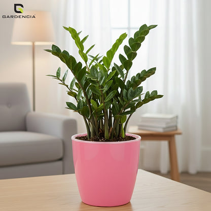 Vistara Self Watering Pot