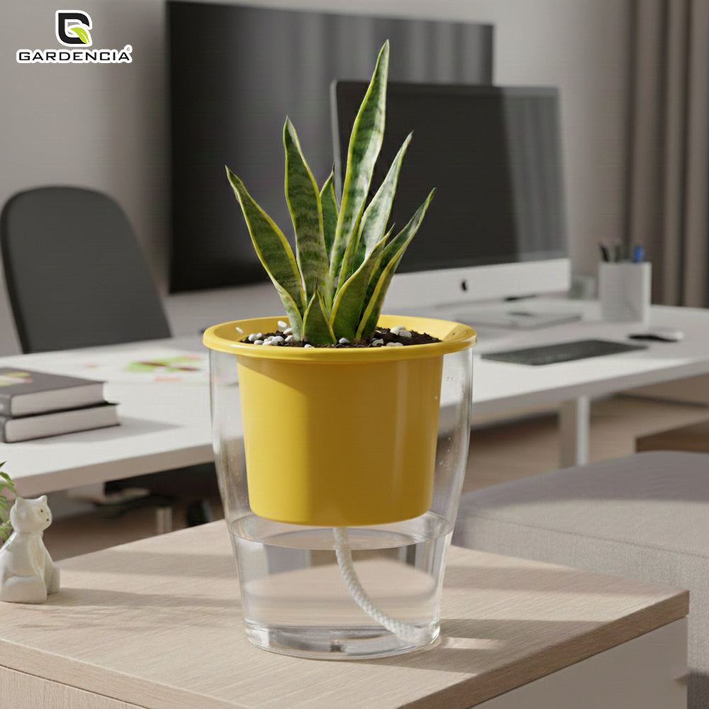 GARDENCIA Clear Self Watering Pot 6 Inch – Transparent Plastic Planter for Indoor Plants, Succulents, Herbs & Flowers – Durable Pot with Water Reservoir & Drainage Hole