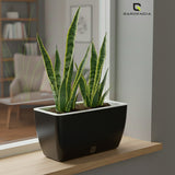 GARDENCIA Recta Self Watering Rectangle 100% Virgin Plastic Pots for Plants | Modern Design | Indoor and Outdoor Flower Pot for Home/Office/Table/Garden/Balcony Decoration | 14 inch