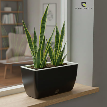 GARDENCIA Recta Self Watering Rectangle 100% Virgin Plastic Pots for Plants | Modern Design | Indoor and Outdoor Flower Pot for Home/Office/Table/Garden/Balcony Decoration | 14 inch
