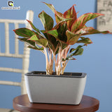 GARDENCIA Recta Self Watering Rectangle 100% Virgin Plastic Pots for Plants | Modern Design | Indoor and Outdoor Flower Pot for Home/Office/Table/Garden/Balcony Decoration | 14 inch