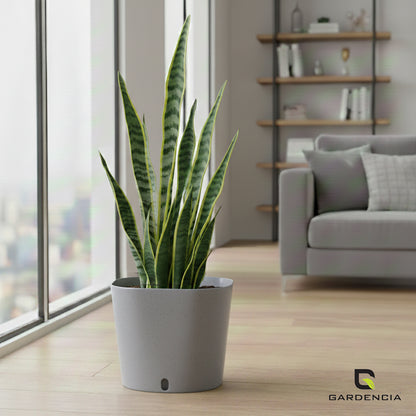 Gardencia Cube 6/12" Self Watering Square Pot