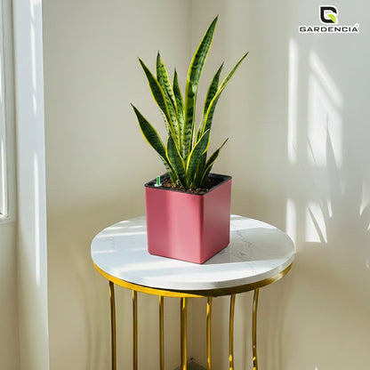 Gardencia Columbus Self Watering Square Pot with Water Level Indicator Modern Planters with Automatic Watering System, Best Flower Pots for Home Decore, Living Room, Table Top Available In Multi Colours