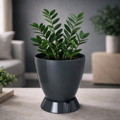 Convex Pot with Smart Tray