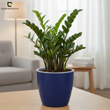 Vistara Self Watering Pot