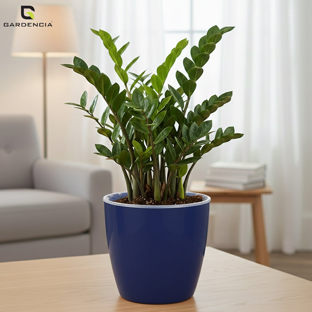 Vistara Self Watering Pot