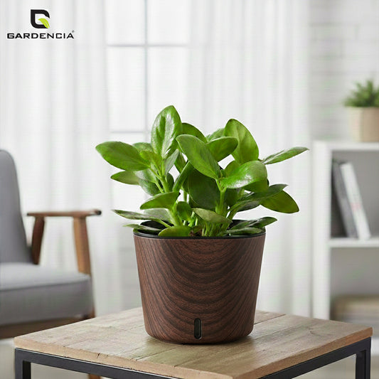 GARDENCIA Cube Self Watering 6" Plant Pot Modern Printed Planter for Indoor & Outdoor Use, Decorative Flower Pot