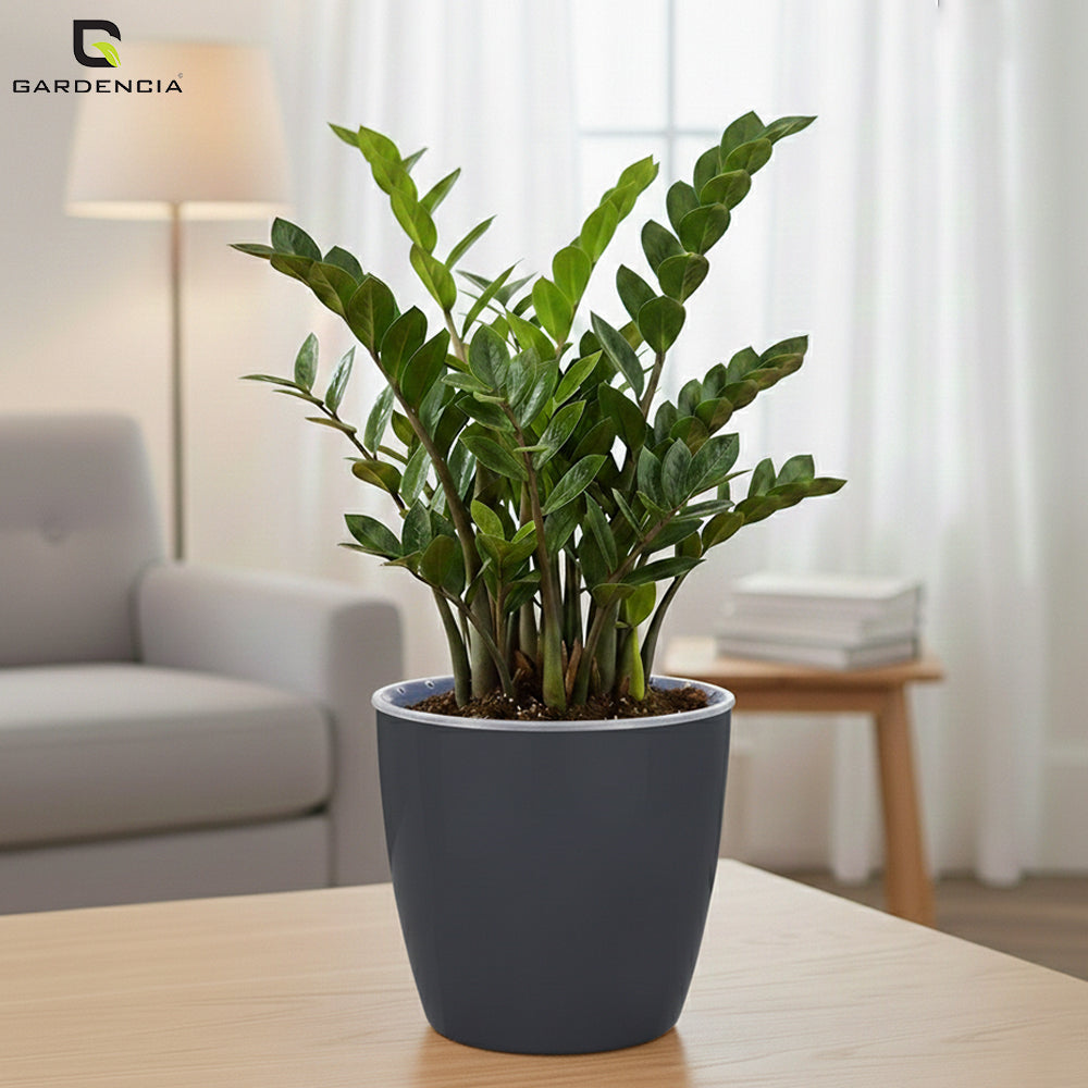 Vistara Self Watering Pot