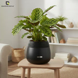 GARDENCIA Balloon Self Watering Planter