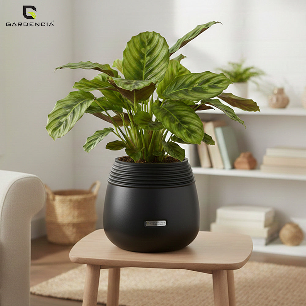 GARDENCIA Balloon Self Watering Planter