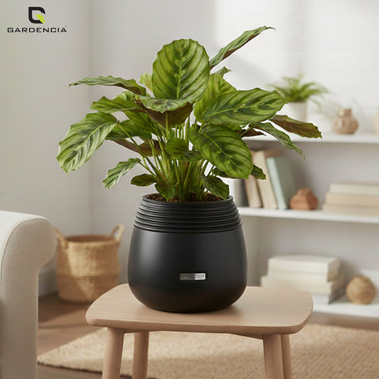 GARDENCIA Balloon Self Watering Planter Pot | Polypropylene with UV & HDPE | Matte & Glossy Finish | Indoor & Outdoor Flower Pot for Home & Garden
